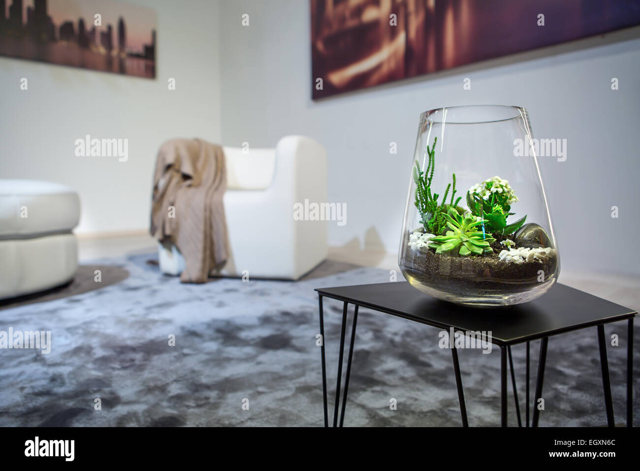 Plants in vase Stock Photo Alamy