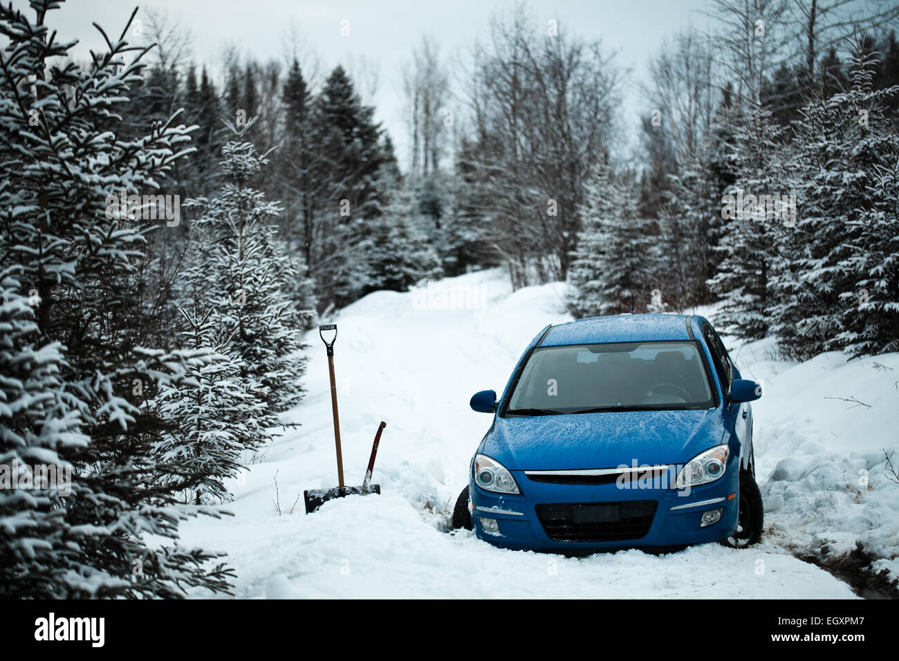 Car Stuck in the Snow on a Forest Road in the Middle of Nowhere. Stock Photo