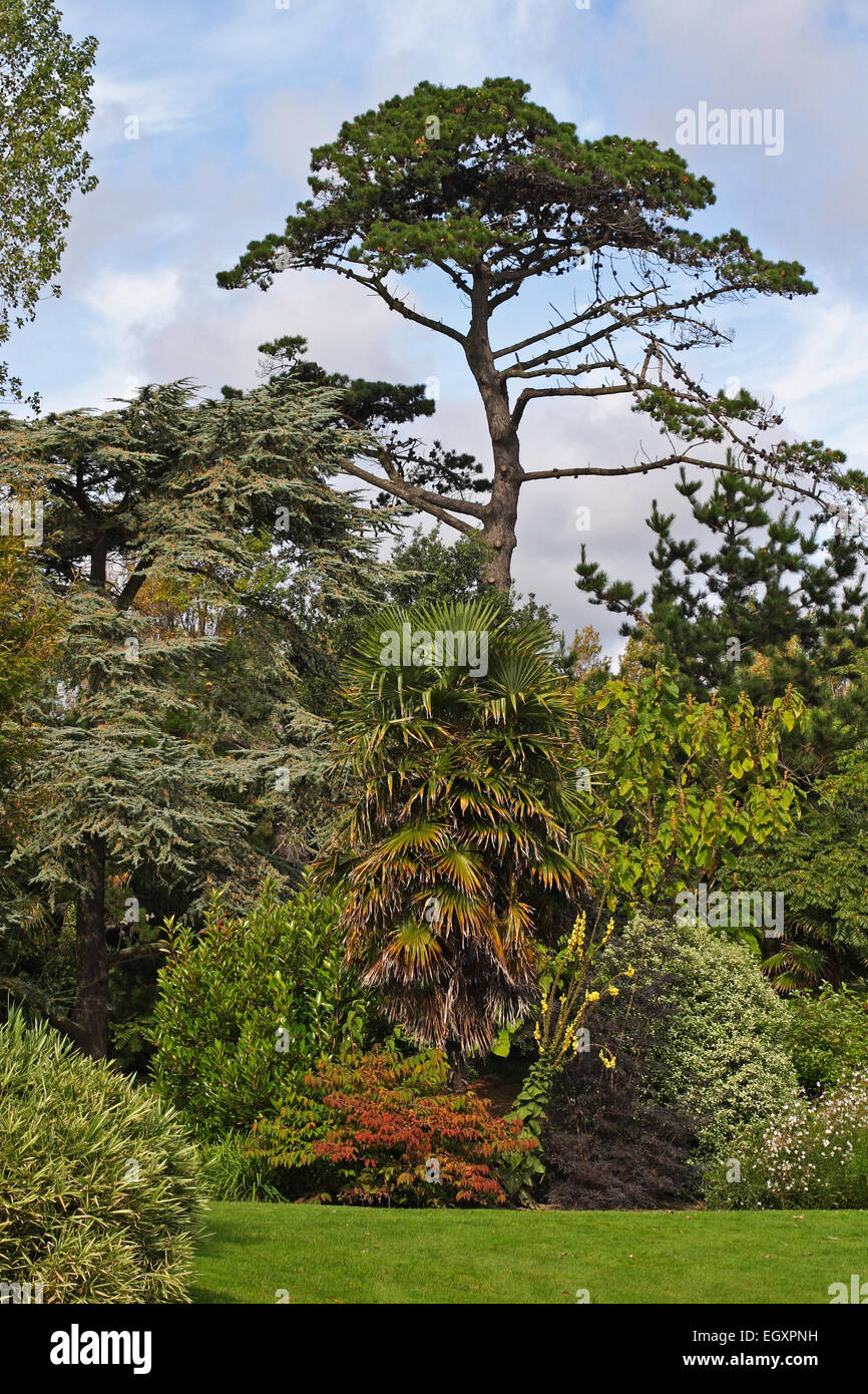 Samares Manor gardens / Jersey / UK Stock Photo Alamy