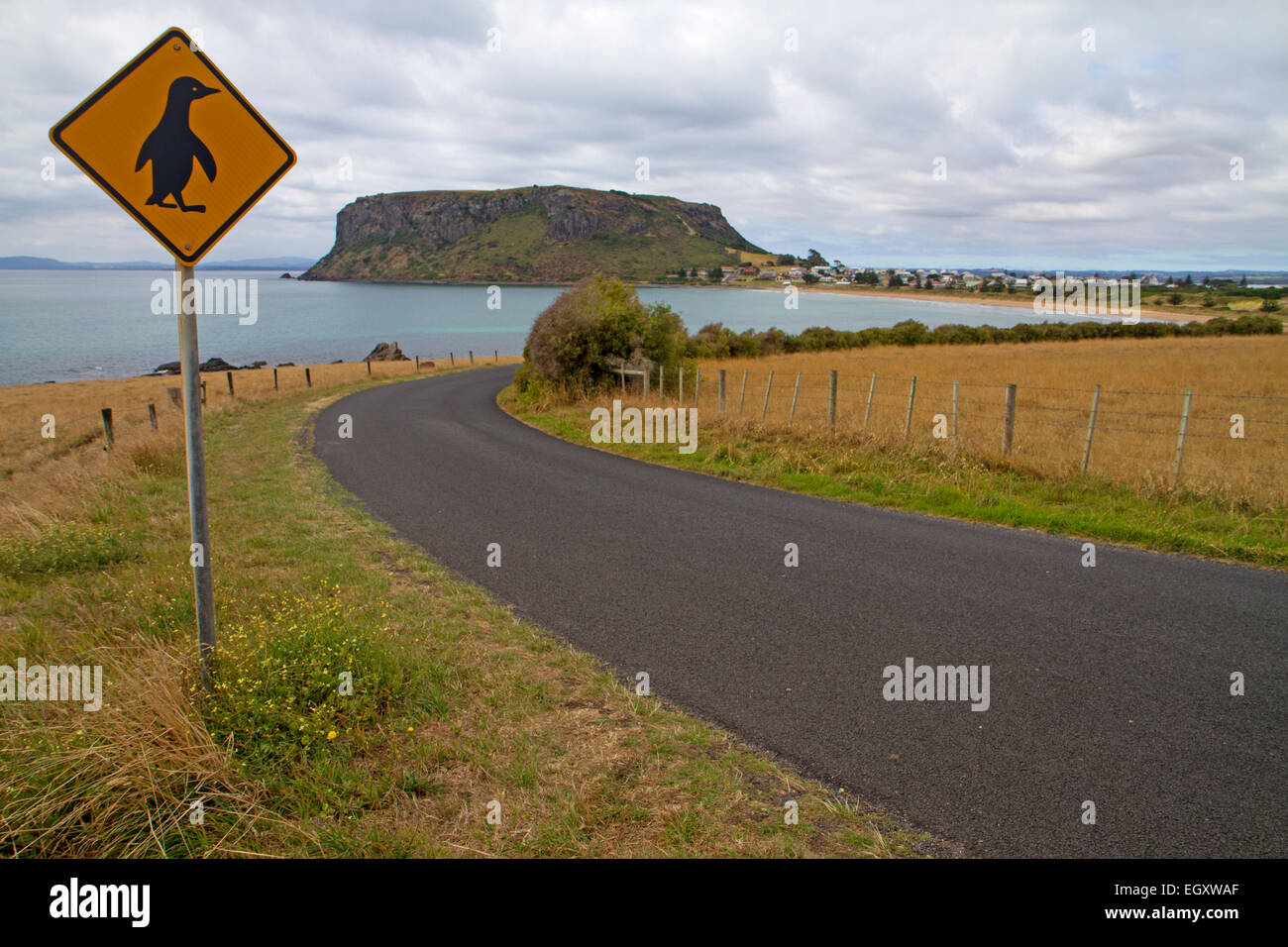 Penguin crossing road sign at Stanley Stock Photo