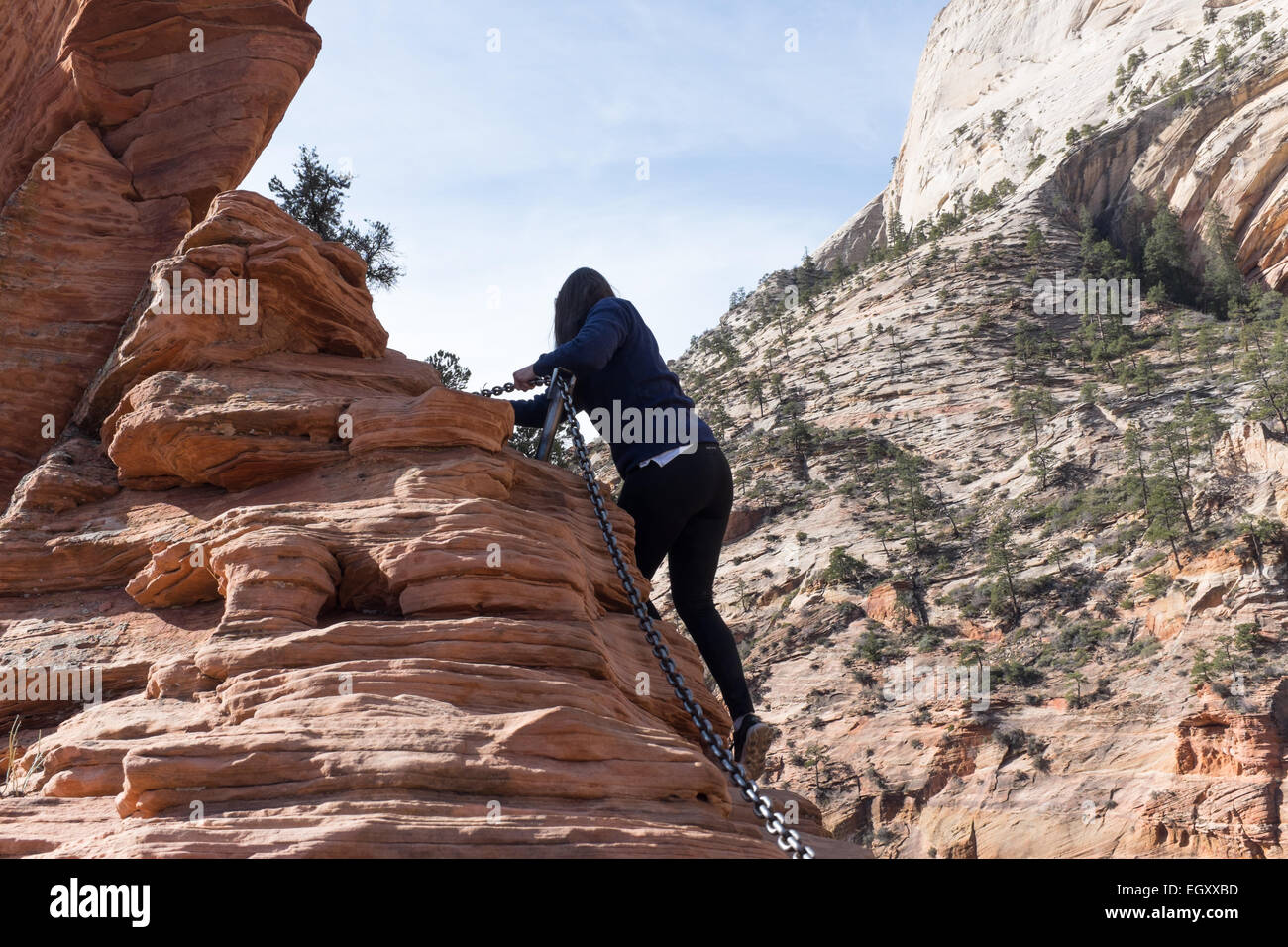 A woman traverses the chains on the Angel's Landing trail in Zion National Park, UT, USA. Stock Photo