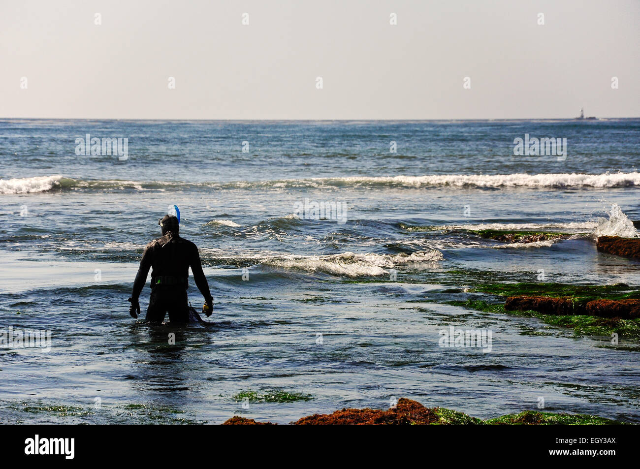 Snorkeler in water hi-res stock photography and images - Alamy