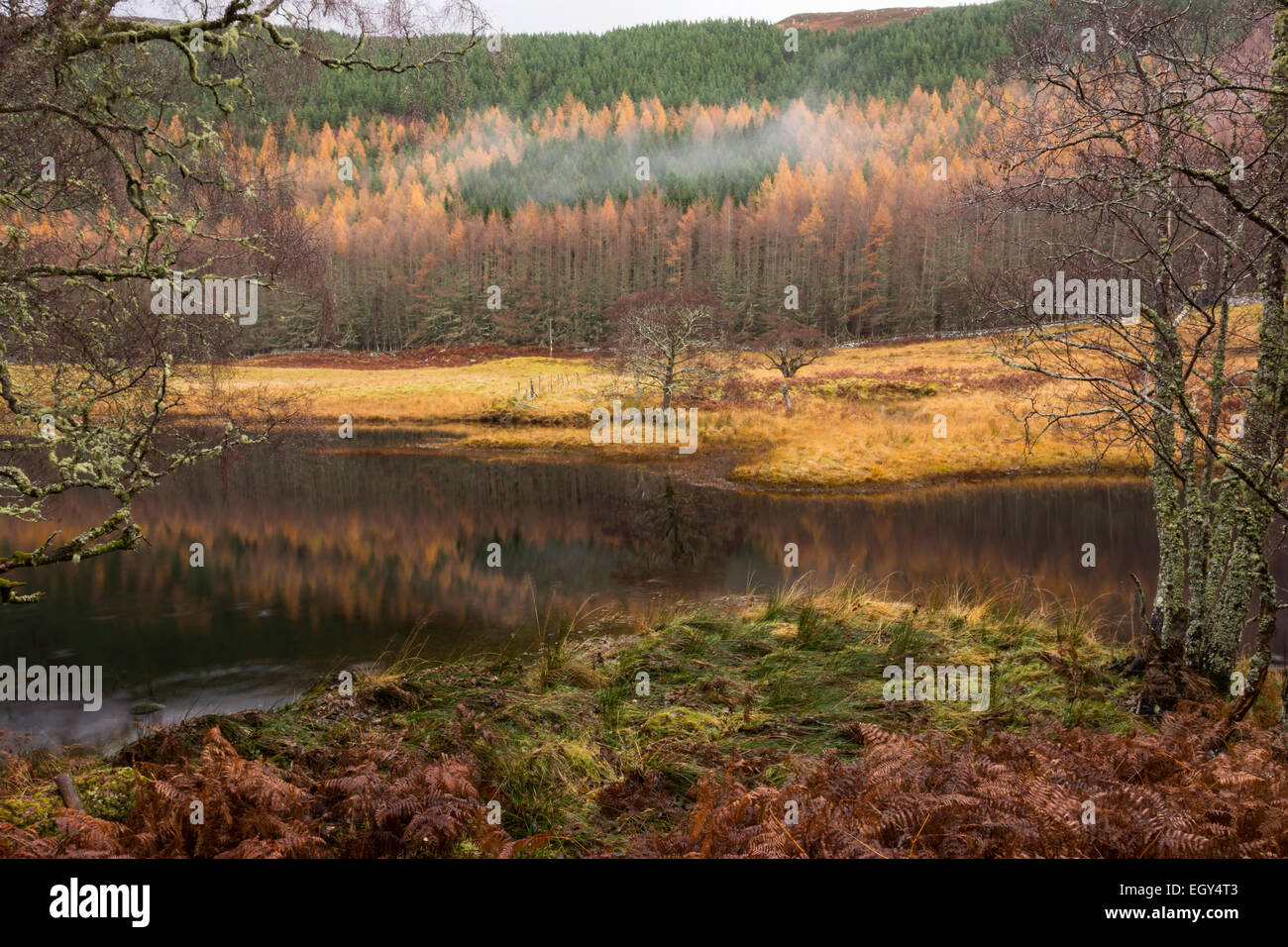 River Cannich, Muchrachd, Inverness shire, Scotland Stock Photo