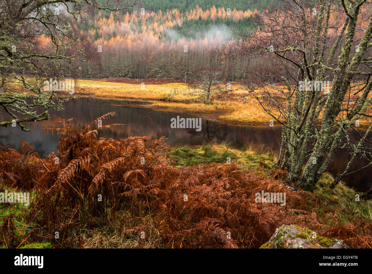 River Cannich, Muchrachd, Inverness shire, Scotland Stock Photo