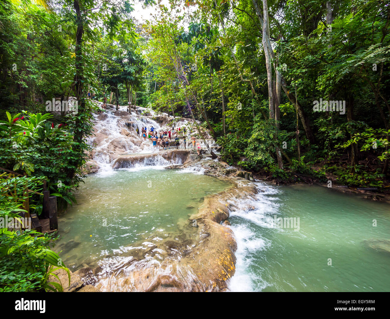 Jamaica, Ocho Rios, Tourists bathing in Dunn's River Stock Photo - Alamy