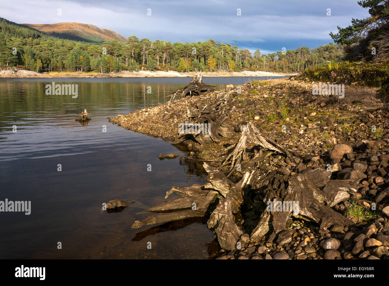 Glen Affric, Scotland, United Kingdom Stock Photo