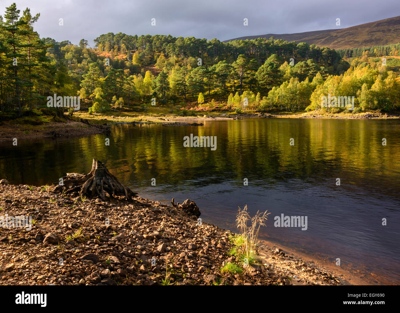 Glen Affric, Scotland, United Kingdom Stock Photo