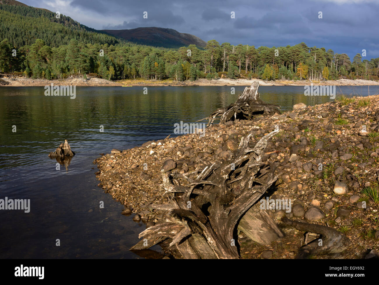 Glen Affric, Scotland, United Kingdom Stock Photo