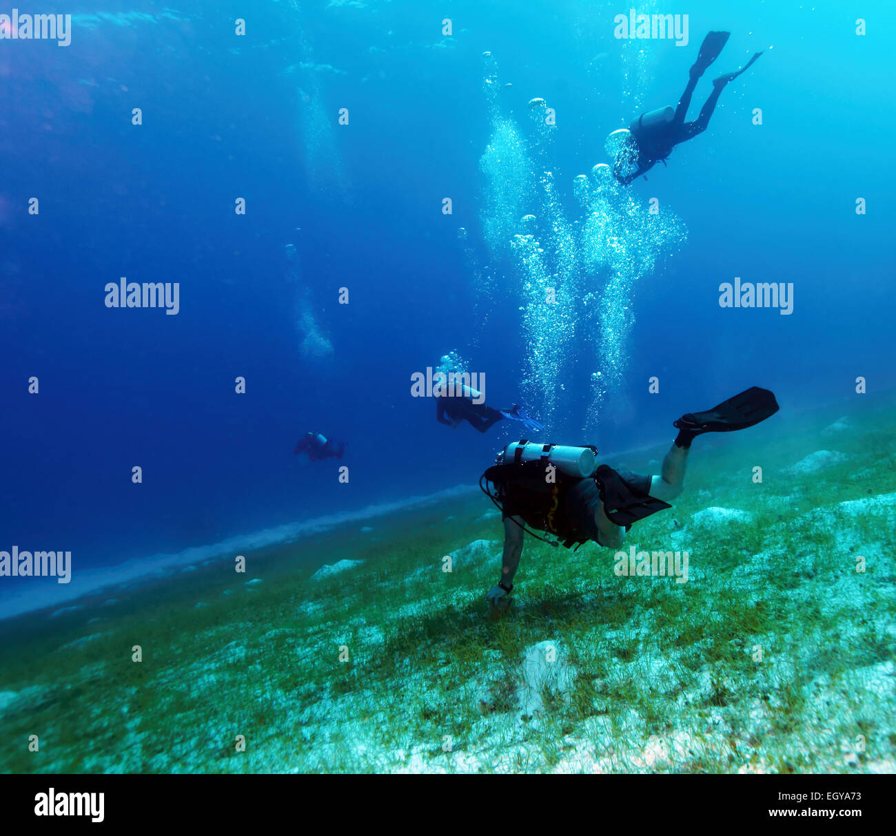 Group of Scuba Divers Underwater Stock Photo Alamy