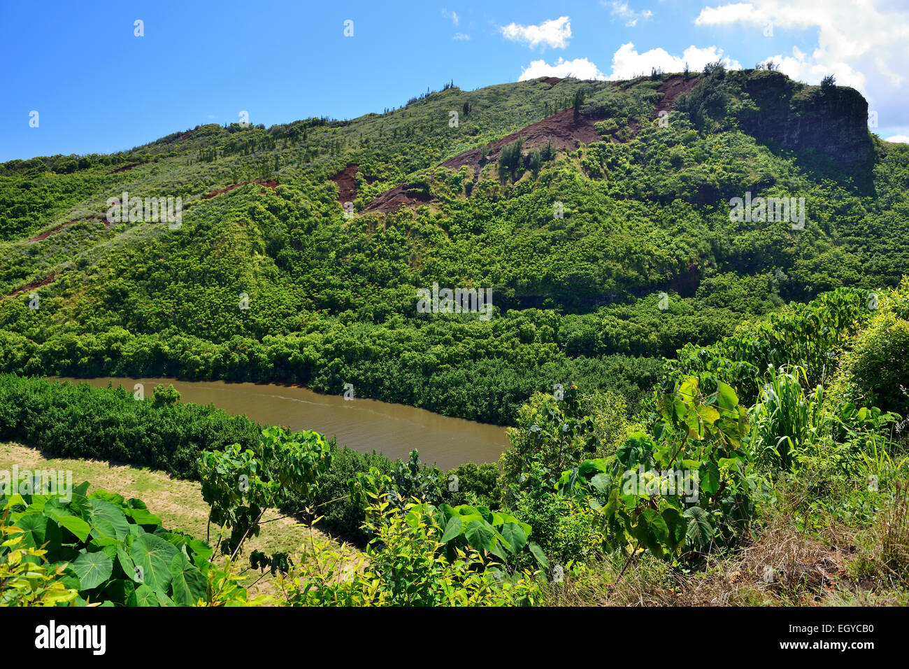 Wailua River Valley from Poliahu Heiau scenic overlook, Kauai, Hawaii