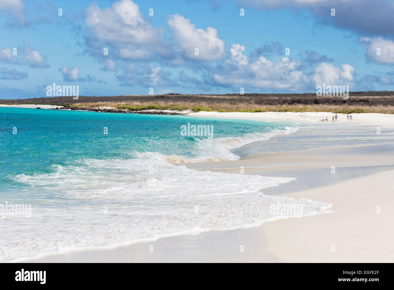 Ecuador, Galapagos Islands, Espanola, beach at Gardner Bay Stock Photo ...