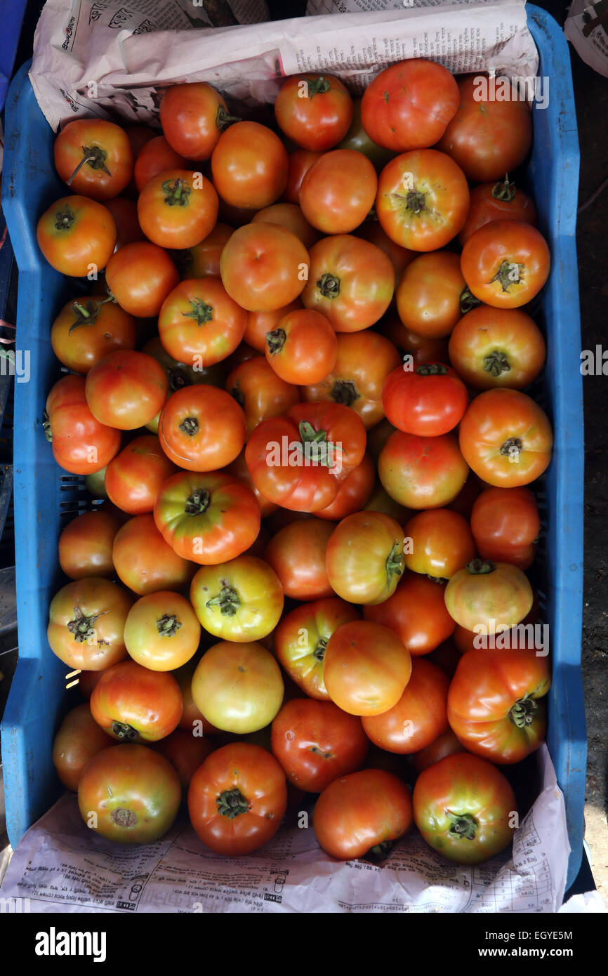 Dirty tomatoes hires stock photography and images Alamy
