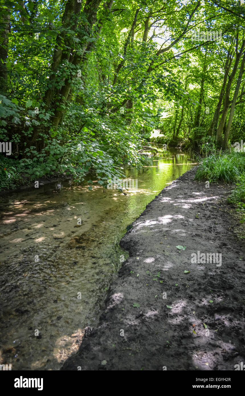 The river Cerne as it flows close to the Cerne Abbas village hall at Cerne Abbas,  Dorset, UK Stock Photo