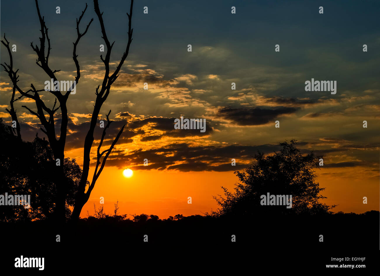 Sunset, Kruger National Park, South Africa Stock Photo