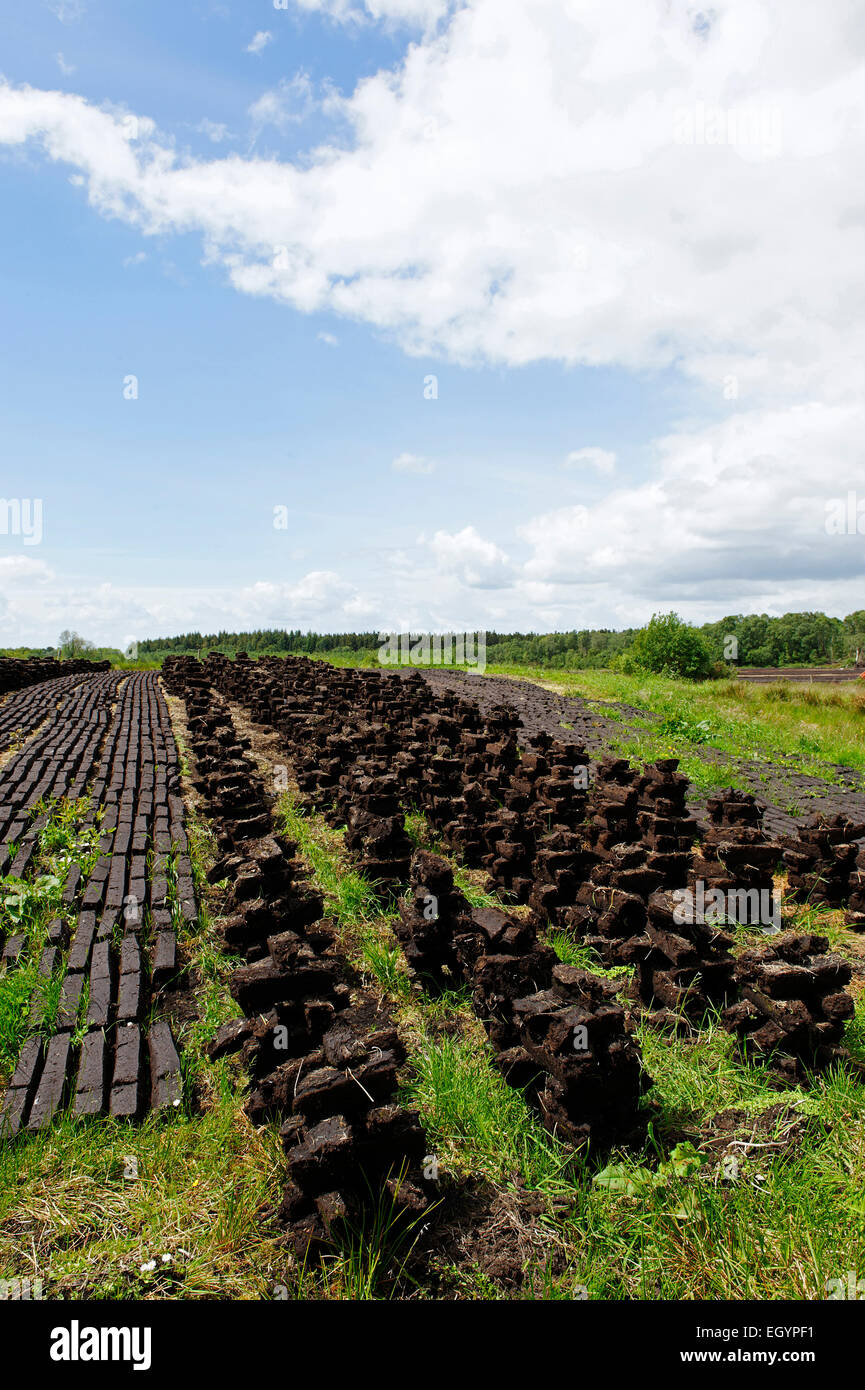 Ireland, County of Offaly, Peat cutting site Stock Photo