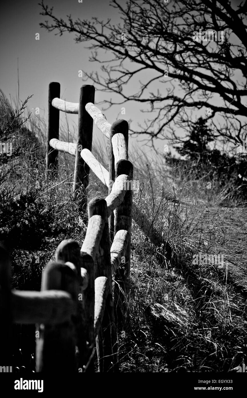 This was a photo taken out at the horse trails in Yankton, SD Stock