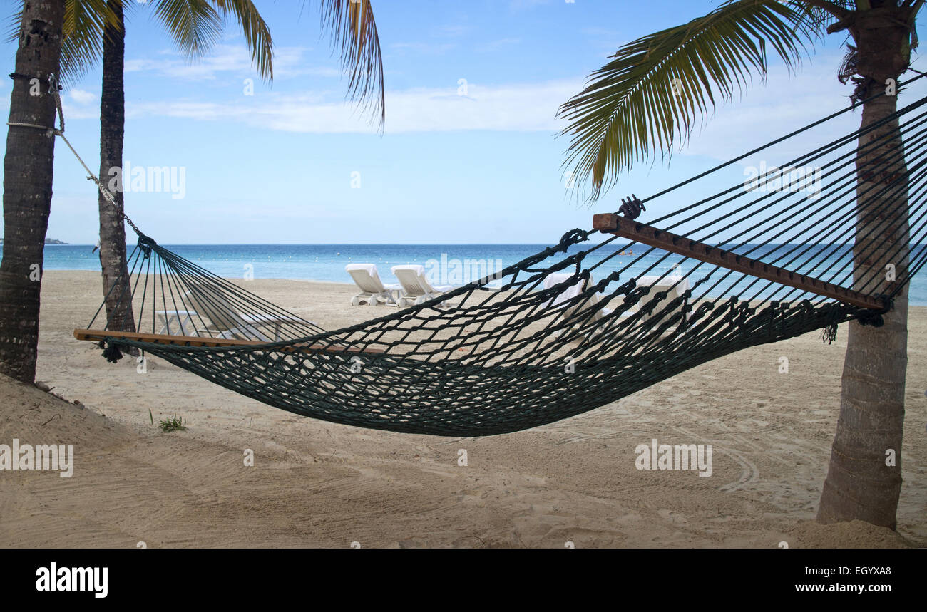 hammock on the beach Stock Photo Alamy
