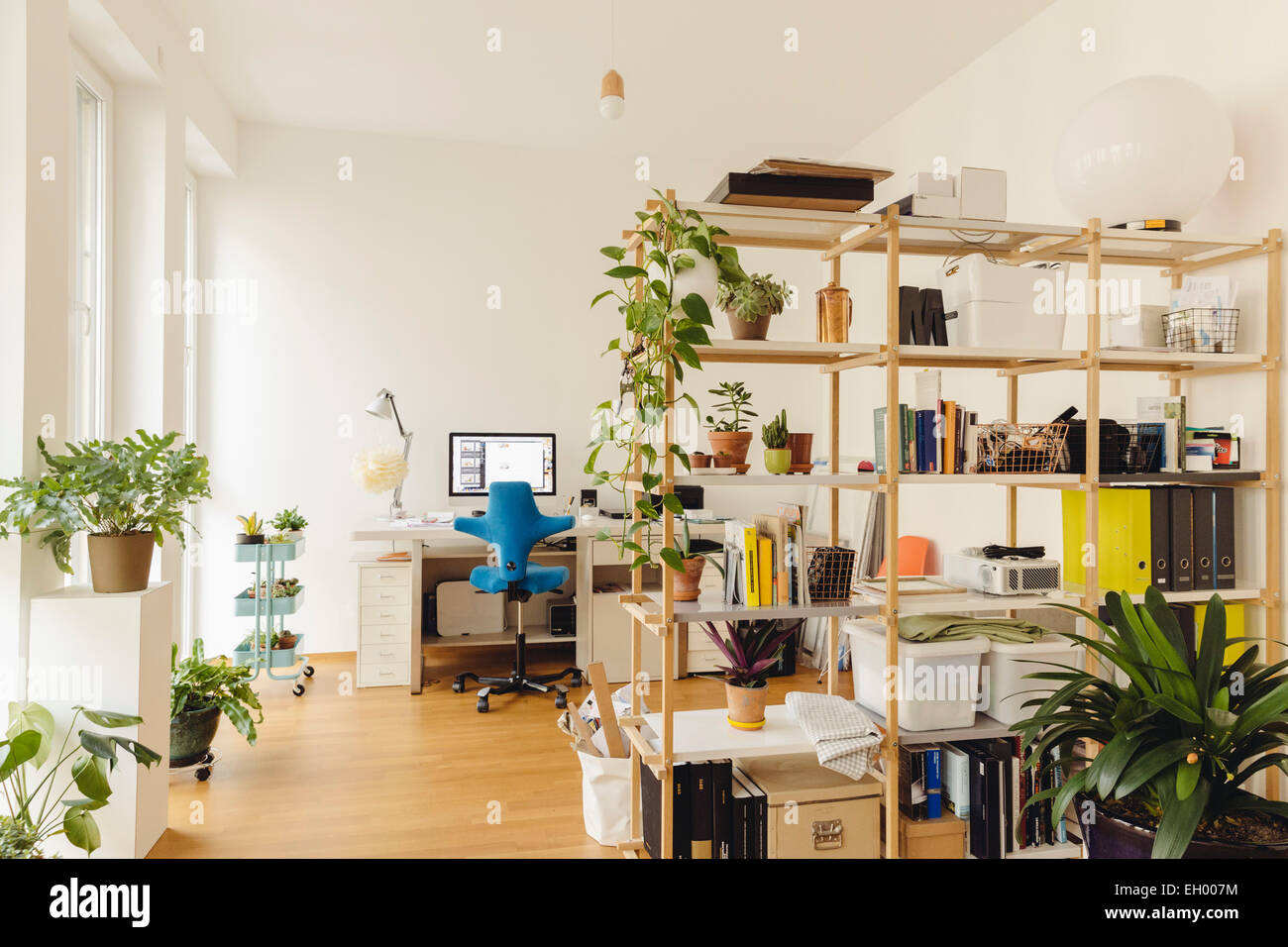 Home office with shelf and plants in modern building Stock Photo