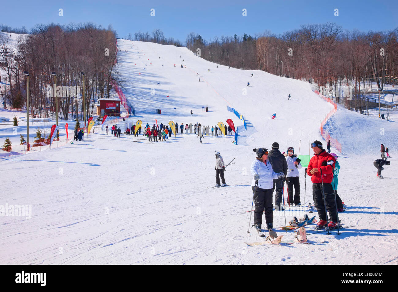 collingwood ski deals