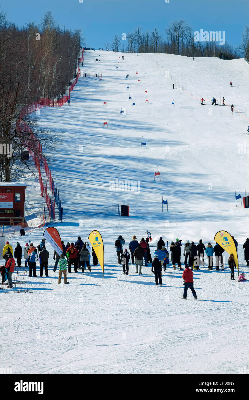 Alpine ski resort, Collingwood; "Big Blue" Ontario's Premier Ski Resort