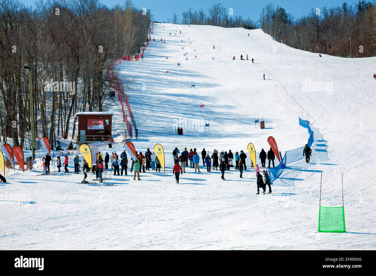 collingwood ski deals