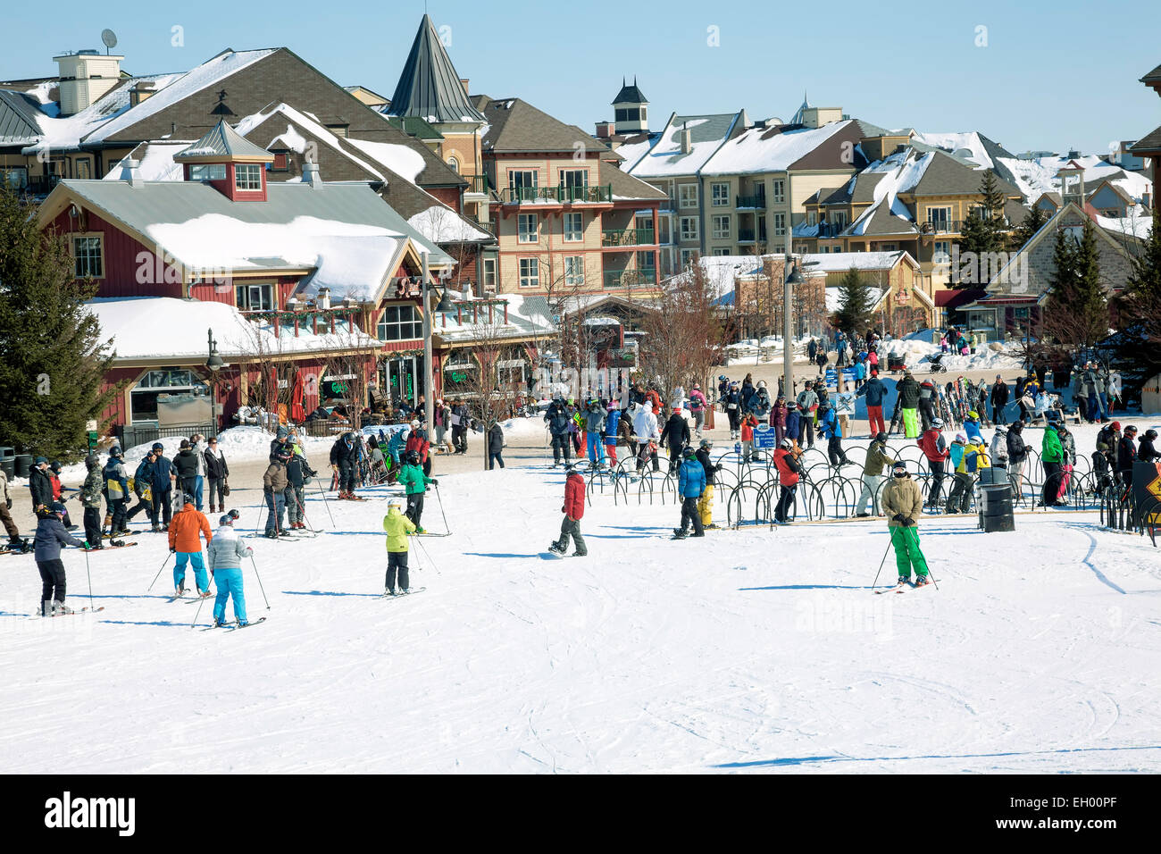Alpine ski resort, Collingwood; "Big Blue" Ontario's Premier Ski Resort