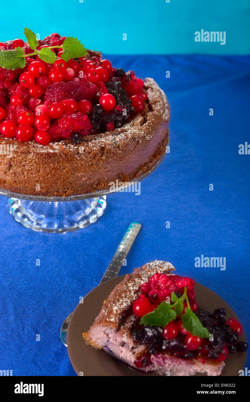 Wild fresh berry fruits chocolate cake on blue Stock Photo - Alamy