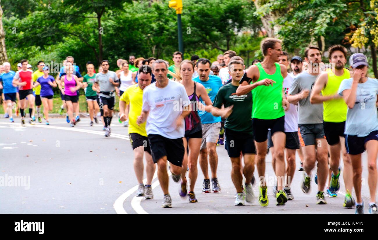 Runners in Central Park, Manhattan, New York City, USA. Practice run during afternoon summer. Stock Photo
