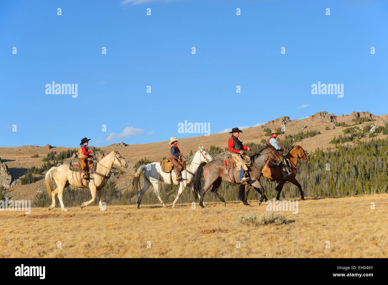 Four Cowboy Riders Four cowboys hi-res stock photography and images - Alamy