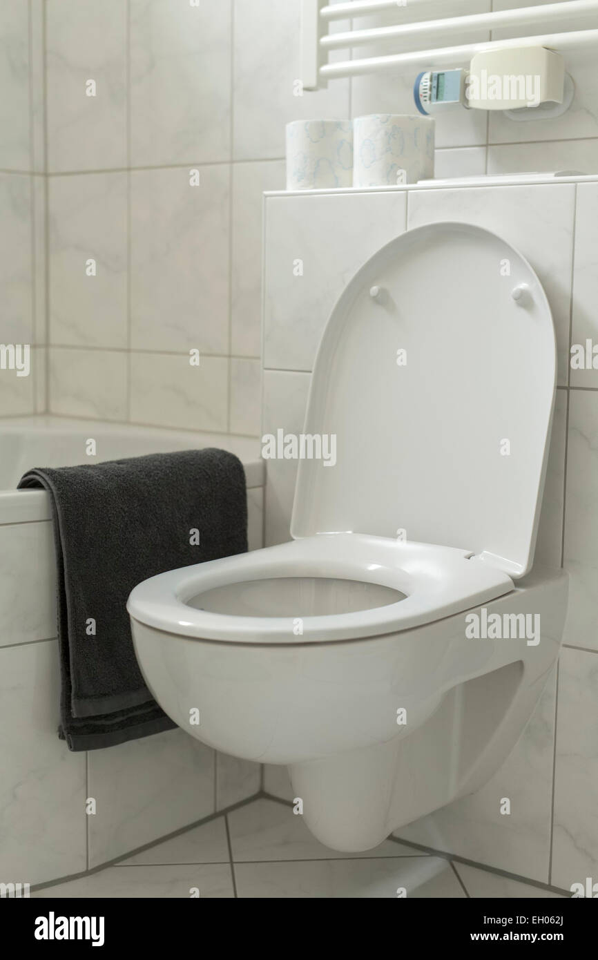 Toilet in bathroom with lid open Stock Photo Alamy