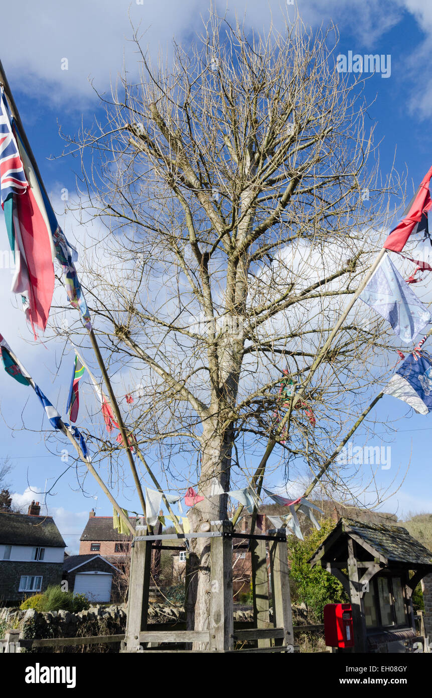 Flags hanging from the ceremonial Arbor Tree in the Shropshire village of Aston on Clun. The village still celebrates Arbor Day Stock Photo