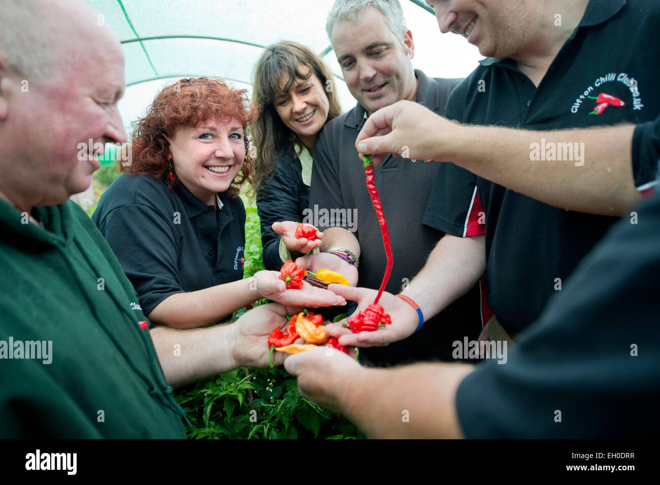 Members of the Clifton Chilli Club from Bristol meeting at the Dovercourt Allotments UK Stock Photo