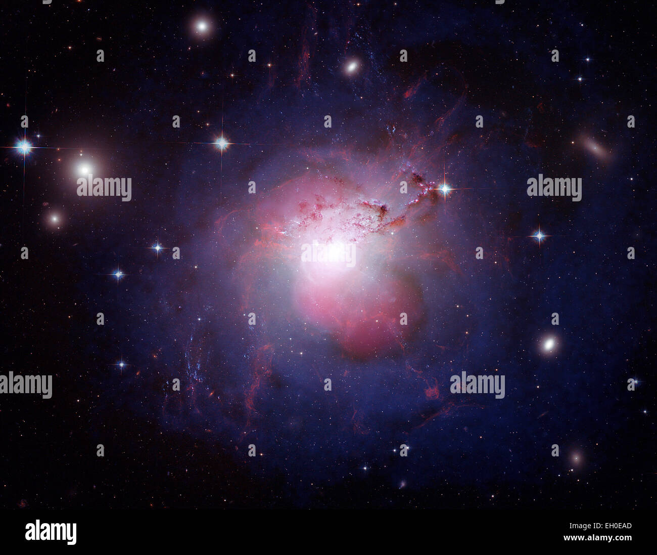 A Monster Galaxy in Perseus Cluster The active galaxy NGC 1275 lies at the center of the cluster of galaxies known as the Perseus Cluster. By combining multi-wavelength images into a single composite, the dynamics of the galaxy are more easily visible. In this composite image, X-rays from Chandra are shown in violet and reveal the presence of a black hole at the center of NGC 1275. Optical data from Hubble is depicted in red, green, and blue, and radio emission in pink traces the jets generated from the central black hole. Stock Photo