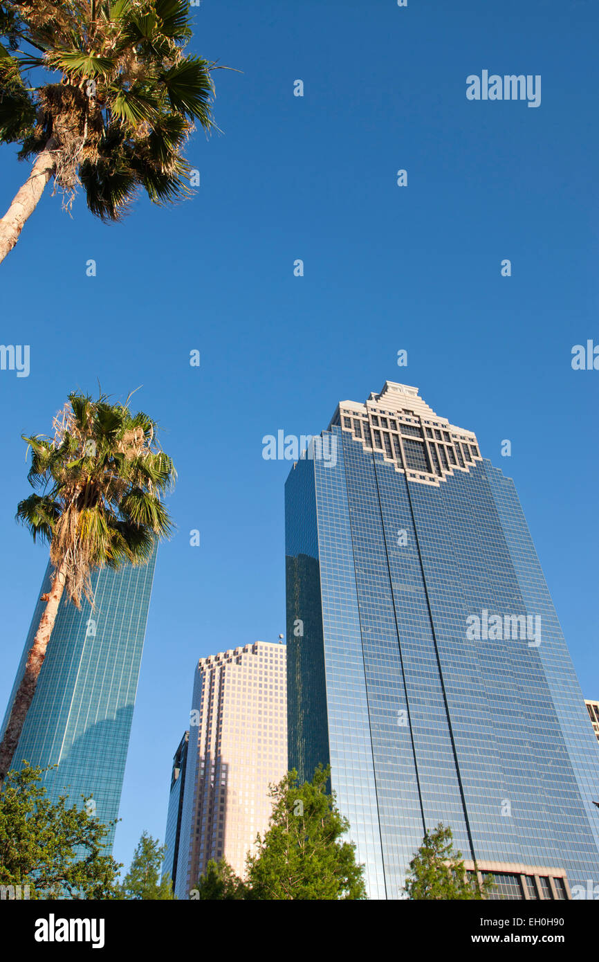 PALM TREES SAM HOUSTON PARK DOWNTOWN SKYLINE HOUSTON TEXAS USA Stock