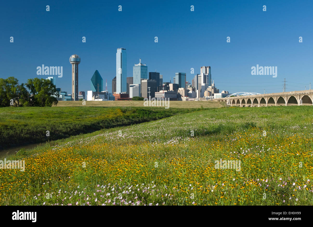 DOWNTOWN SKYLINE TRINITY RIVER GREENBELT PARK DALLAS TEXAS USA Stock