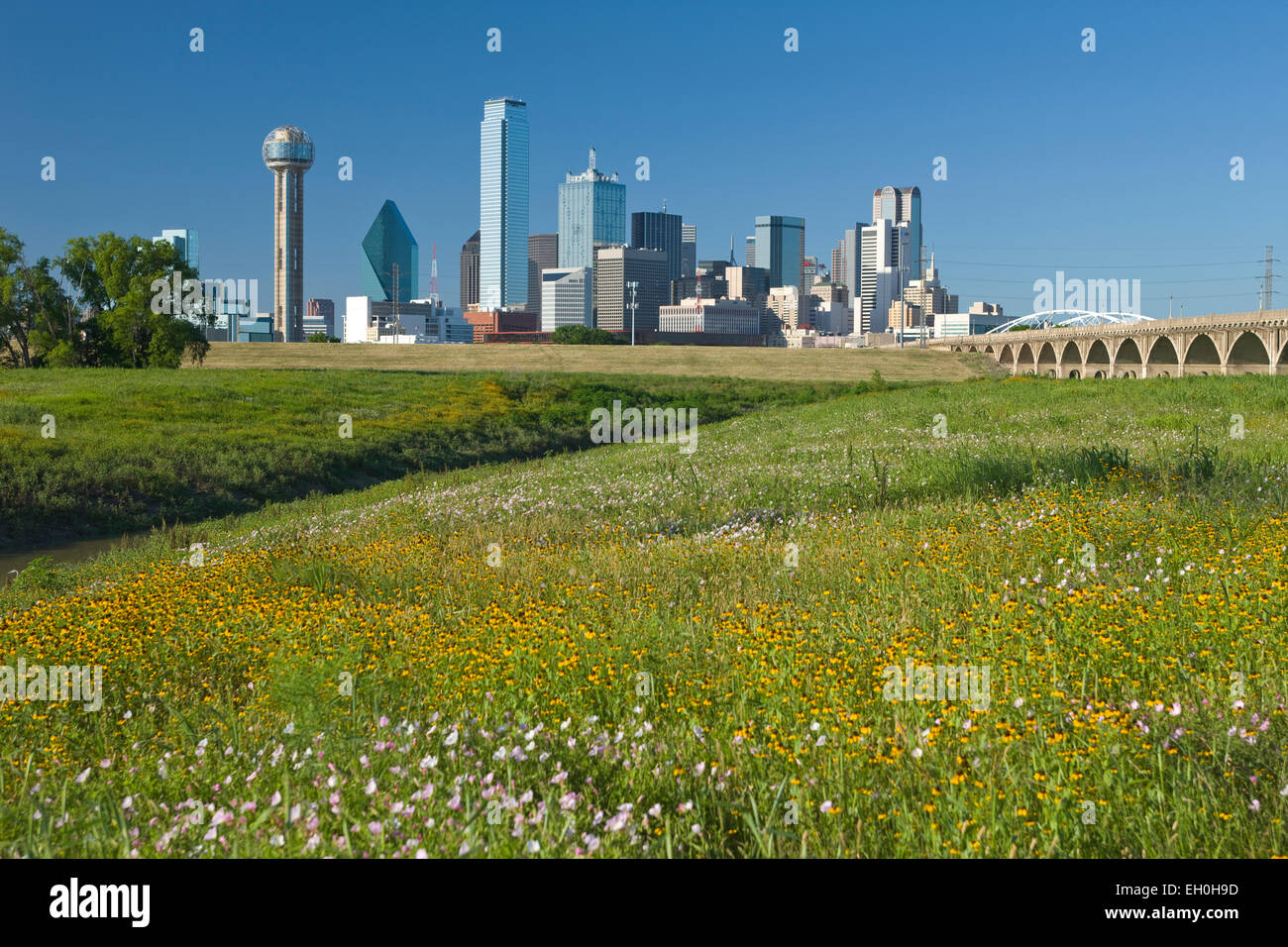 DOWNTOWN SKYLINE TRINITY RIVER GREENBELT PARK DALLAS TEXAS USA Stock