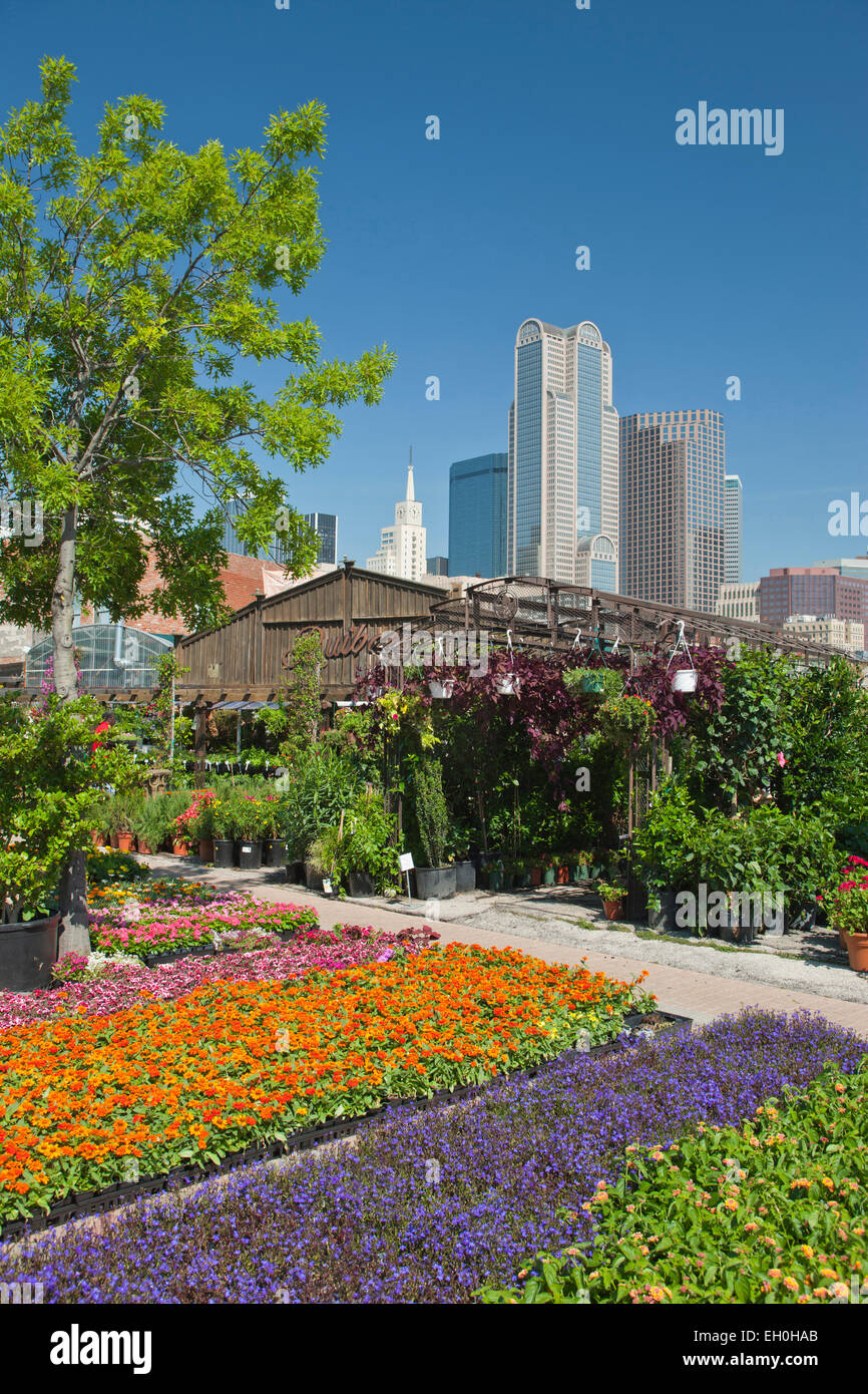 Downtown Farmers Market High Resolution Stock Photography and Images