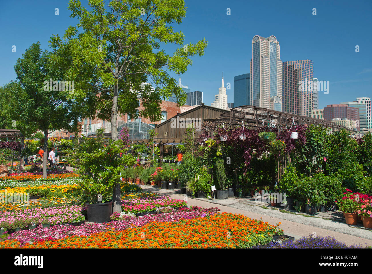 Downtown Farmers Market High Resolution Stock Photography and Images