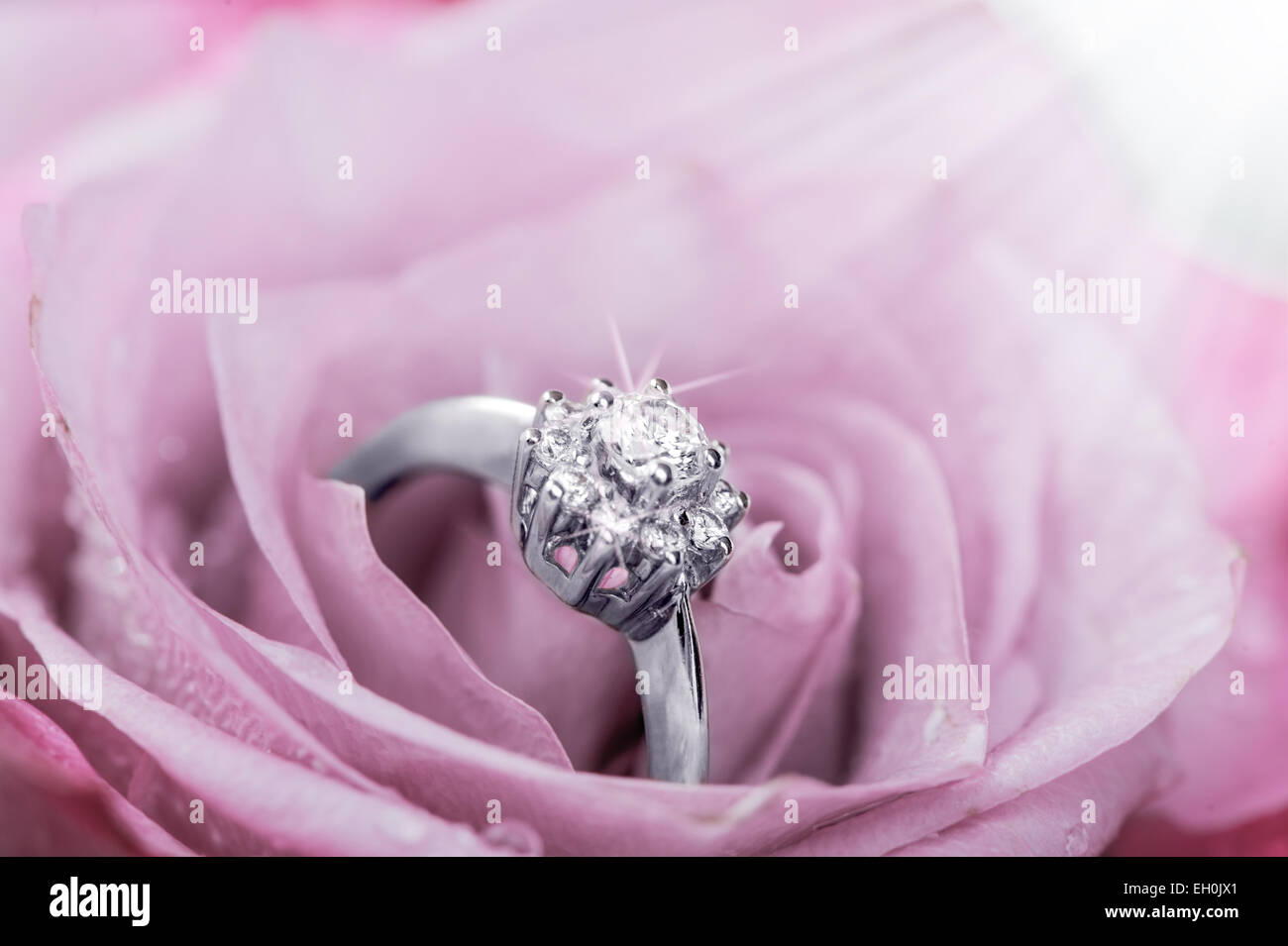 ring with diamonds  inside rose petals Stock Photo