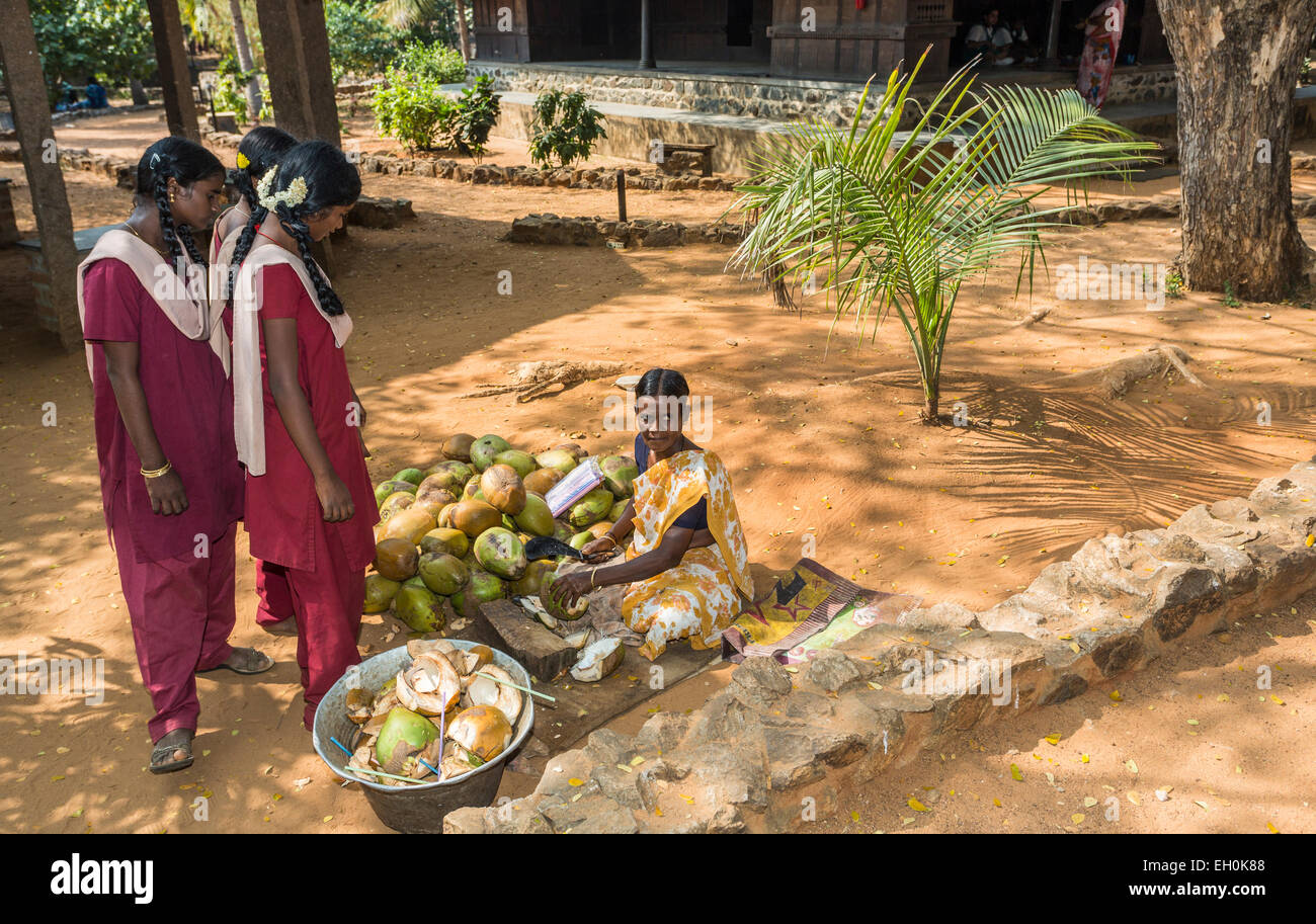 Woman selling coconuts to schoolgirls at DakshinaChitra Heritage Museum near Chennai, Tamil Nadu, southern India Stock Photo