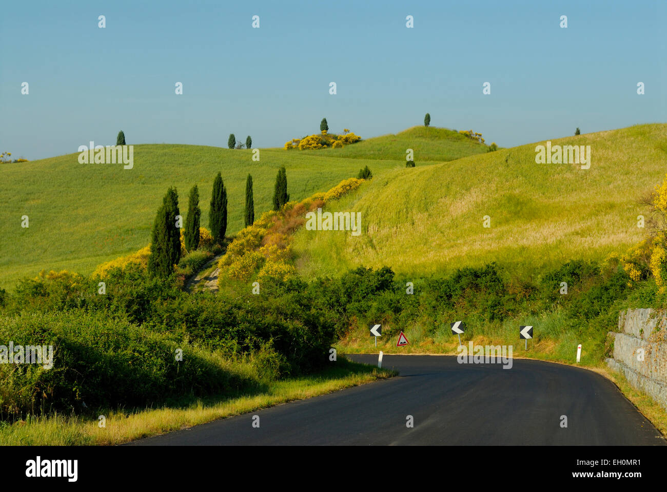 Winding highway through landscape, Tuscany, Italy Stock Photo - Alamy