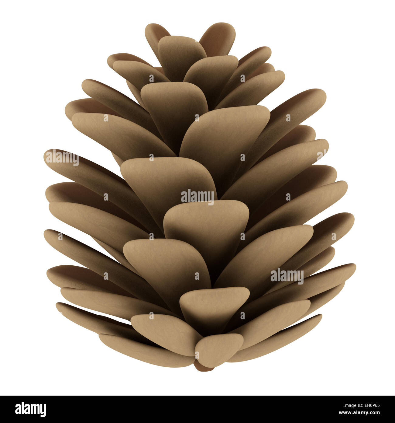 pine cone isolated on white background Stock Photo - Alamy