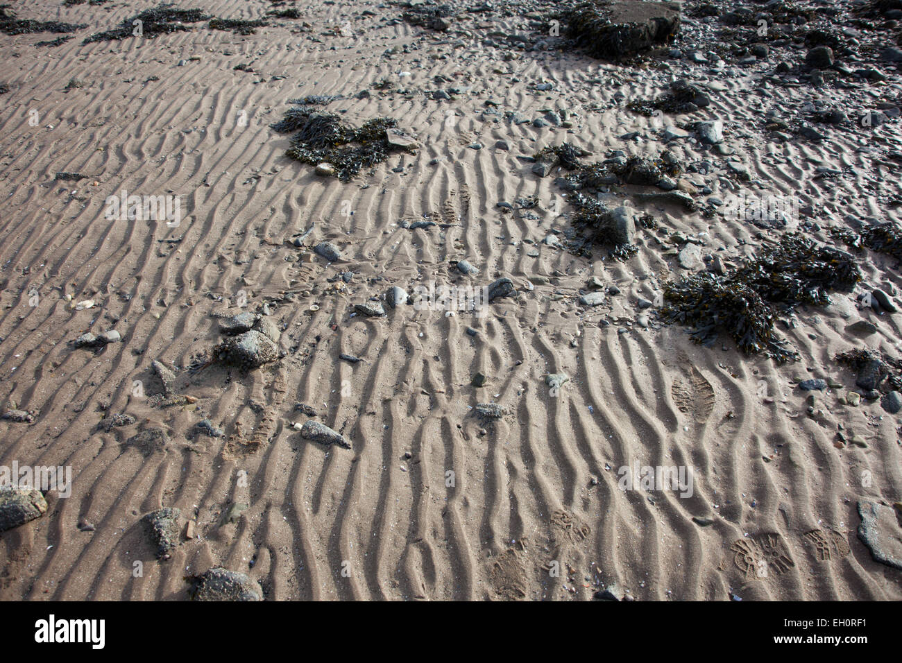 Sand ripple beach hi-res stock photography and images - Alamy