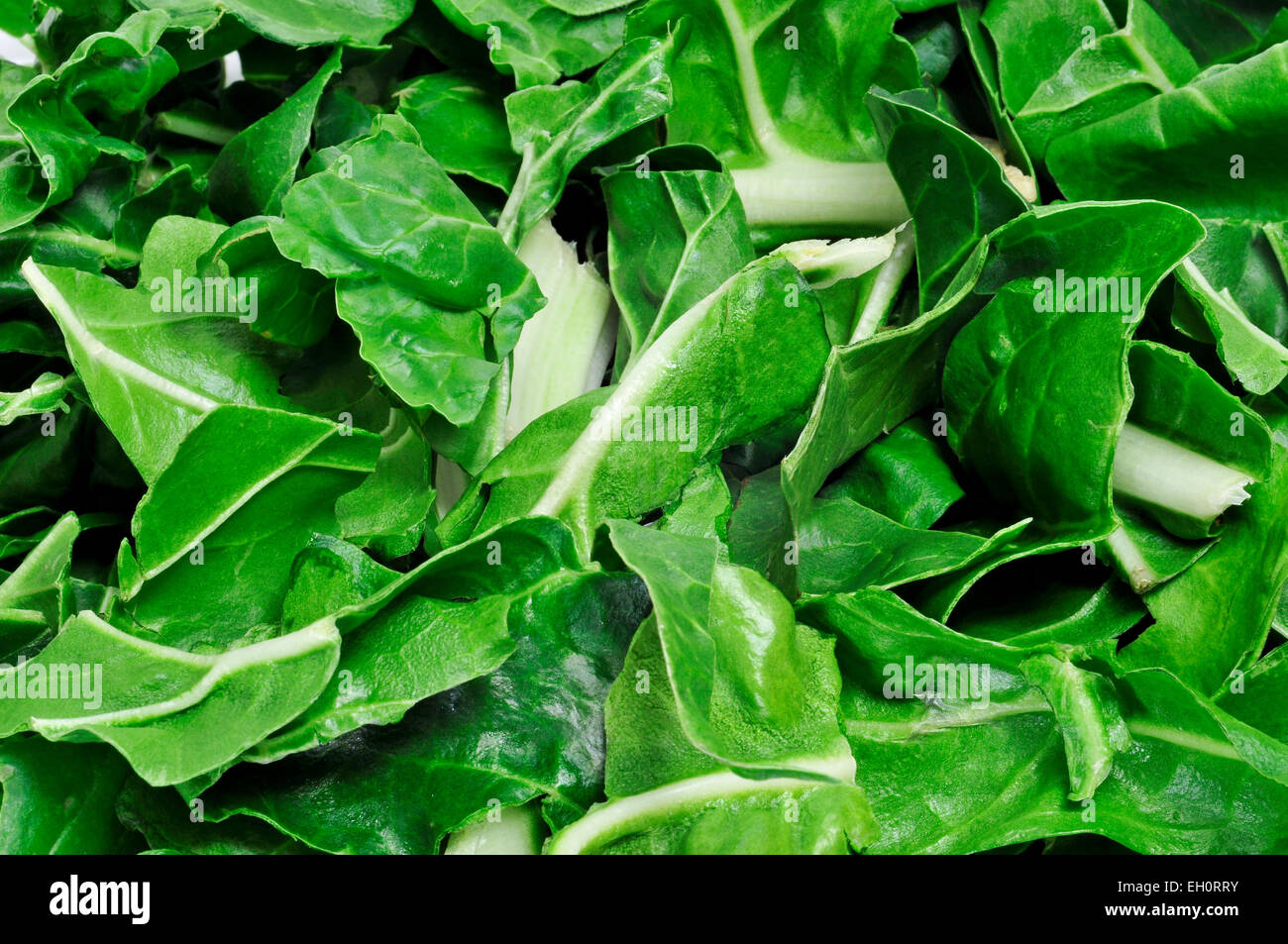 closeup of a pile of chopped raw chard leaves Stock Photo