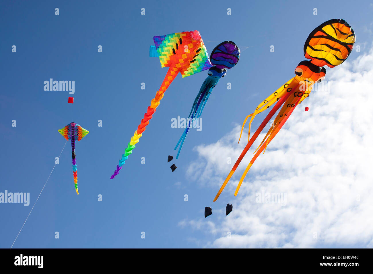 Kites flying over Bastion Point, in celebration of Matariki, the Maori New Year. Auckland, New Zealand. Stock Photo
