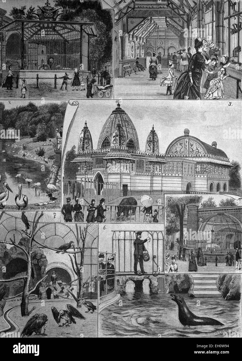 Berlin Zoological Garden, historical illustration, about 1886, Berlin, Germany, Europe Stock Photo