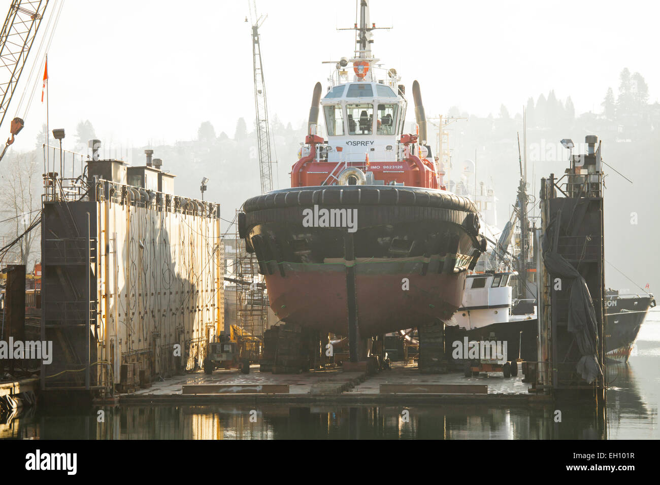 The Seaspan Osprey, a towing and escort tugboat in dry dock for maintenance at Allied Shipbuilders in Burrard Inlet, Vancouver Stock Photo