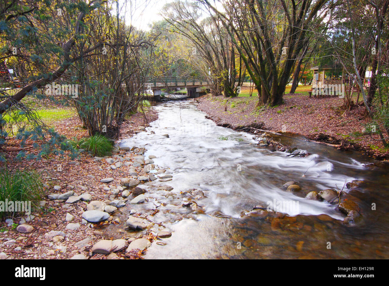 Ovens River, Country Bright Victoria AUstralia Stock Photo