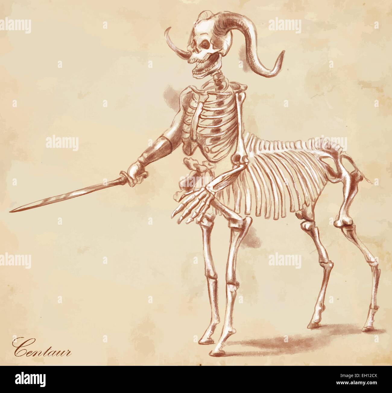 An hand drawn vector illustration. Series of legendary animals and monsters  (skeleton): CENTAUR. Drawings comprise at least thre Stock Vector Image &  Art - Alamy