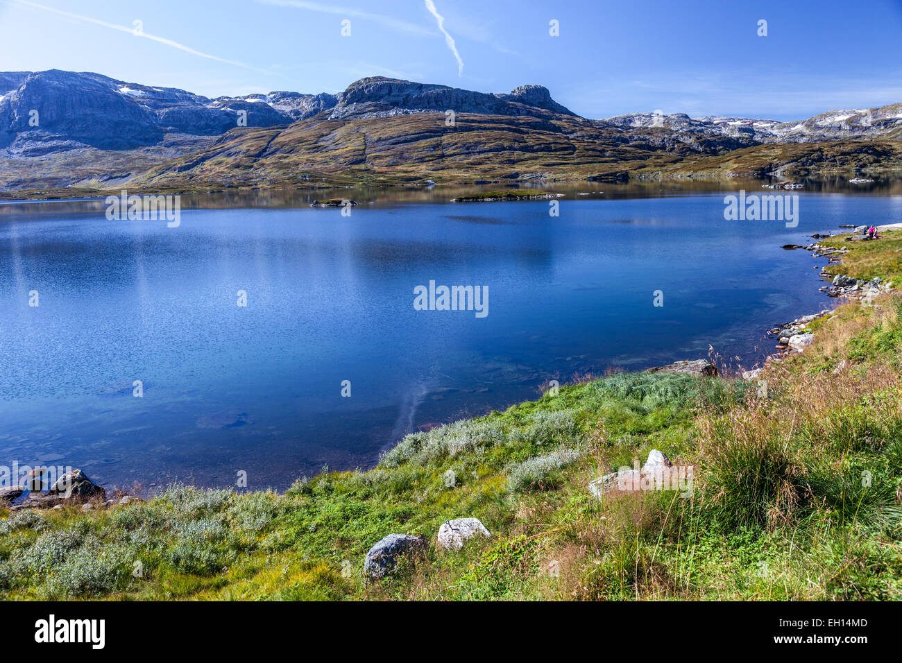 Norwegian Summer in Telemark Stock Photo Alamy